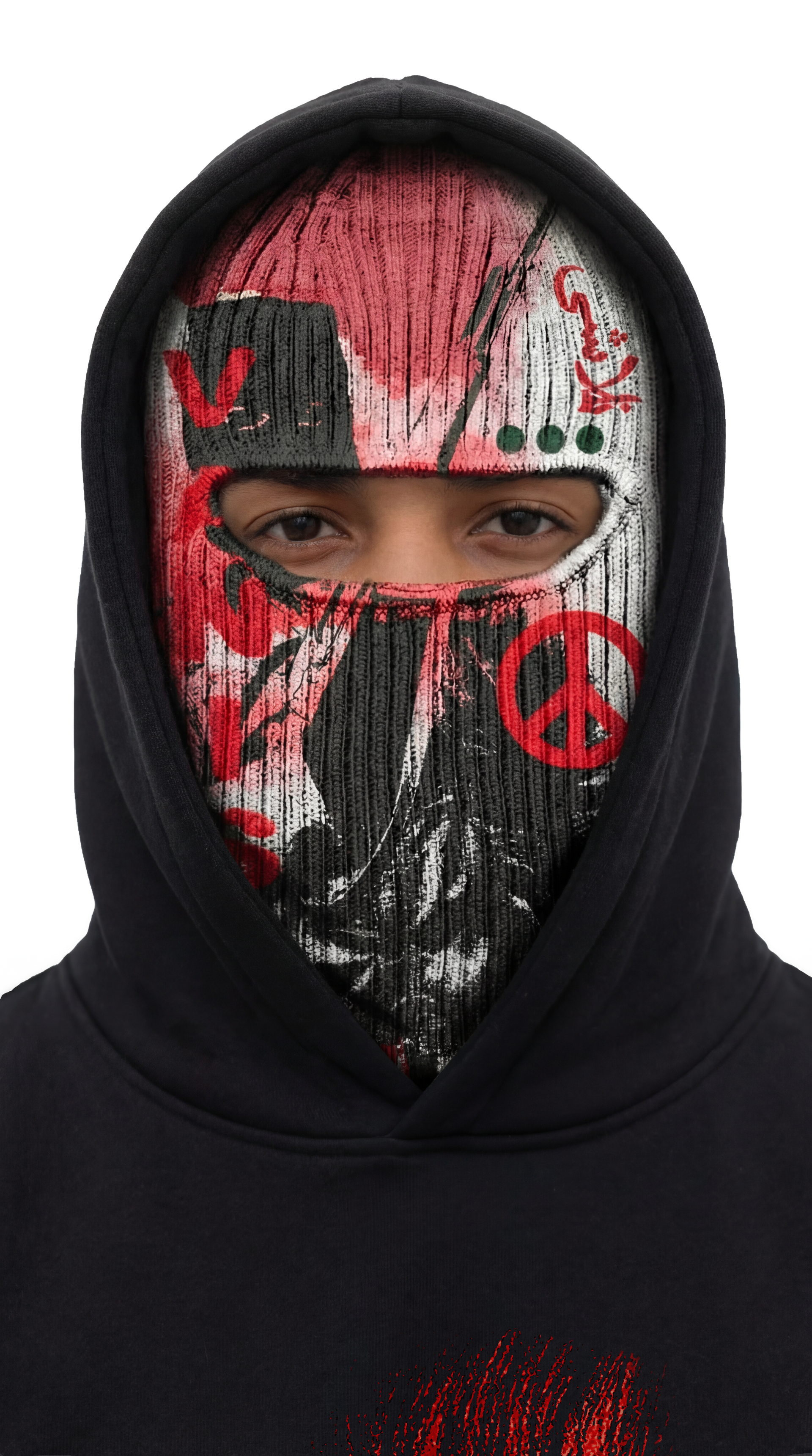Vanish Ski Mask